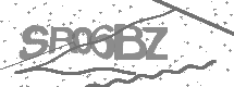 visual captcha